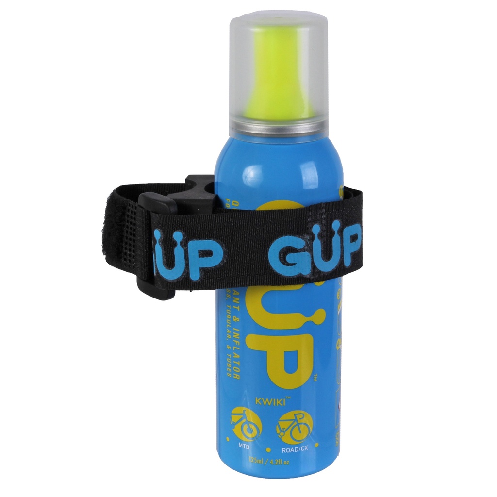 gp3000inset1.jpg