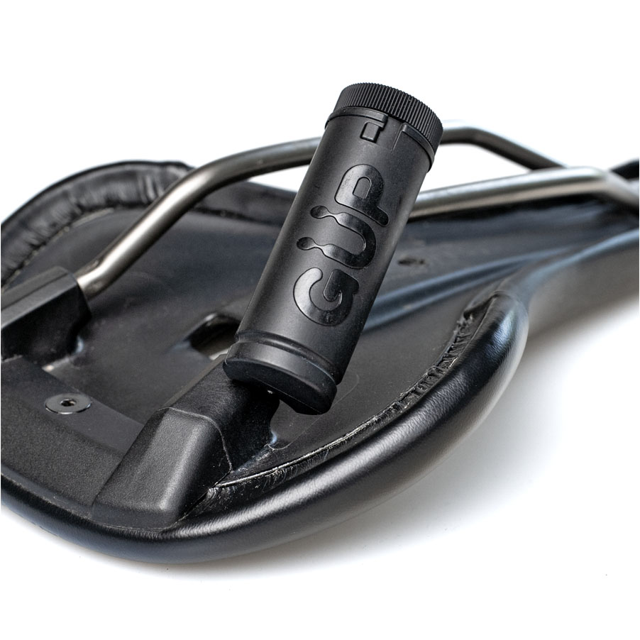 gp1100inset3.jpg